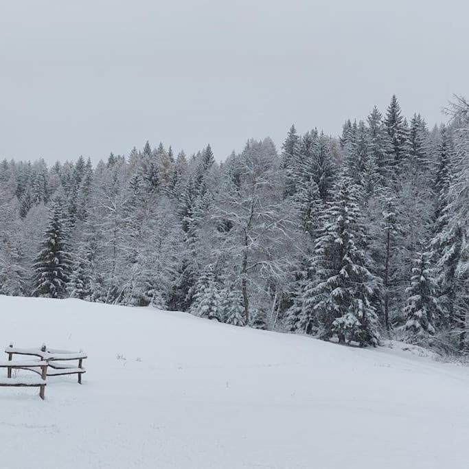 Agriturismo Piangembro Corteno Golgi Eksteriør bilde